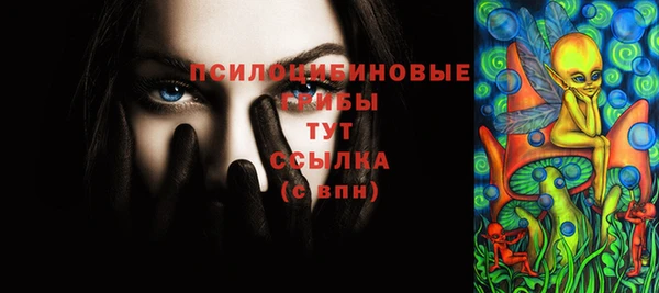 амф Верея