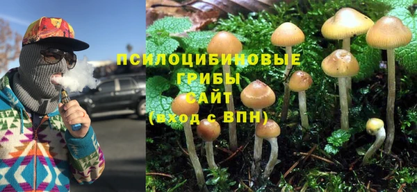 мет Бородино