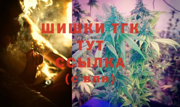 мет Бородино