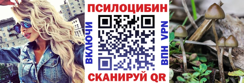 где найти   Верхняя Пышма  mega   Галлюциногенные грибы Magic Shrooms 