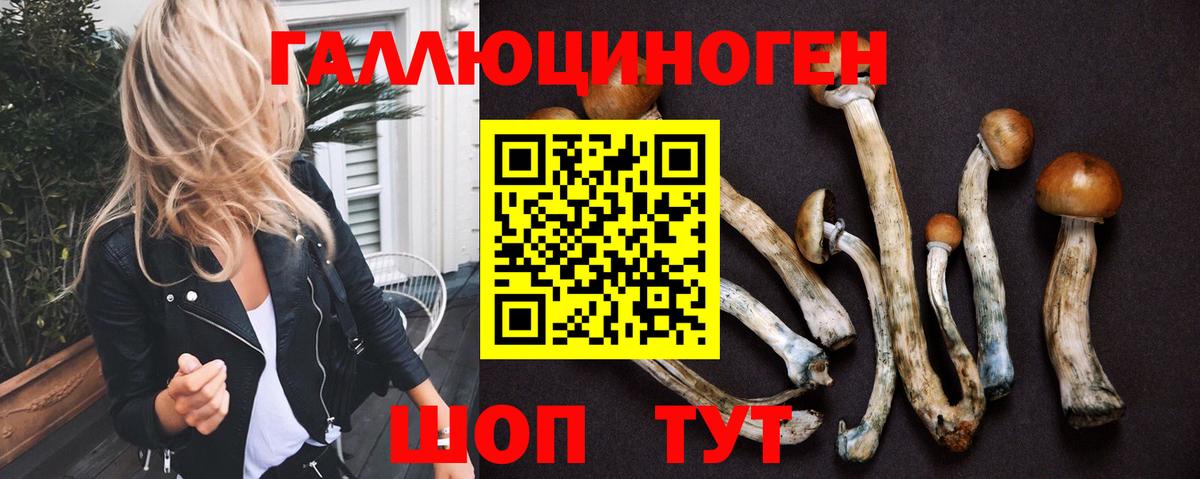 Галлюциногенные грибы Magic Shrooms  Вход с VPN  Псилоцибиновые грибы Magic Shrooms  Верхняя Пышма 